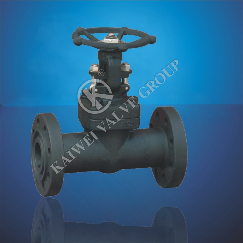 GBAPI Forged Steel Flanges Gate Valve