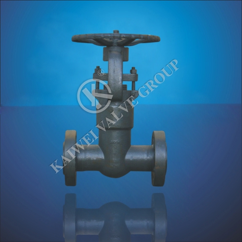 GBAPI Forged Steel Flanges Gate Valve